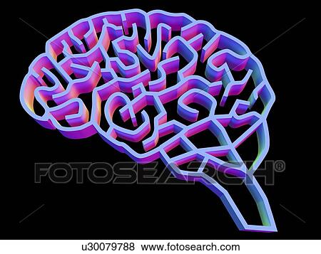 Brain complexity, conceptual artwork View Large Photo Image Stock Photo - Brain complexity, conceptual artwork. Fotosearch