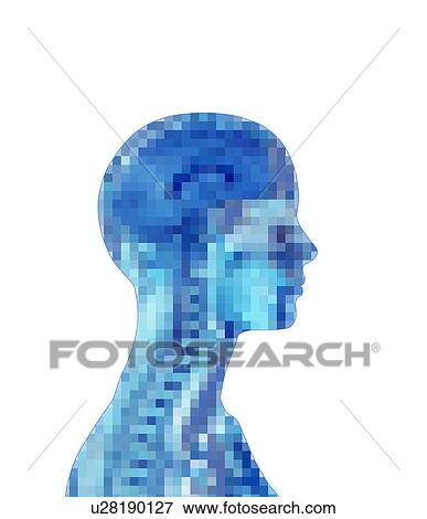 Brain, computer artwork View Large Photo Image Stock Photo - Brain, computer artwork. Fotosearch