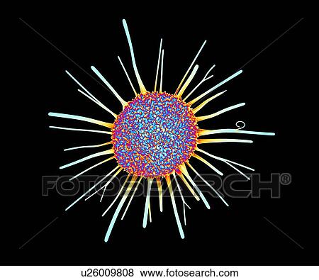 Cancer cell, computer artwork View Large Photo Image Stock Photo - Cancer cell, computer artwork. Fotosearch