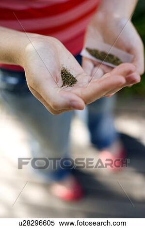Stock Photography - Cannabis use. Fotosearch