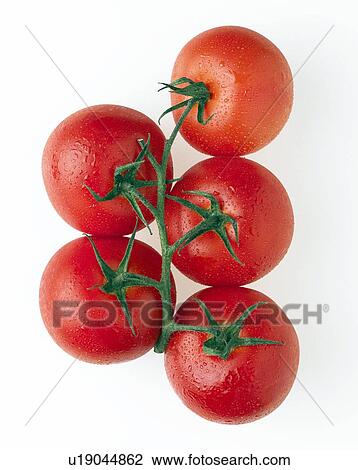 Stock Image - Cherry tomatoes. Fotosearch
