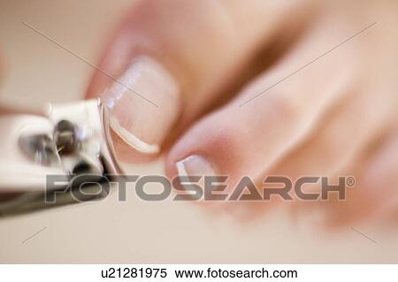 Clipping nails View Large Photo Image Stock Photography - Clipping nails. Fotosearch
