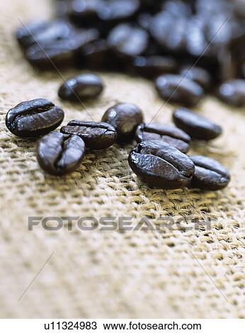 Coffee beans View Large Photo Image Stock Image - Coffee beans. Fotosearch