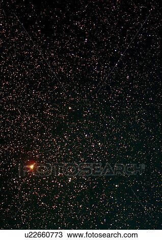 Constellation of Taurus View Large Photo Image Stock Image - Constellation of Taurus. Fotosearch