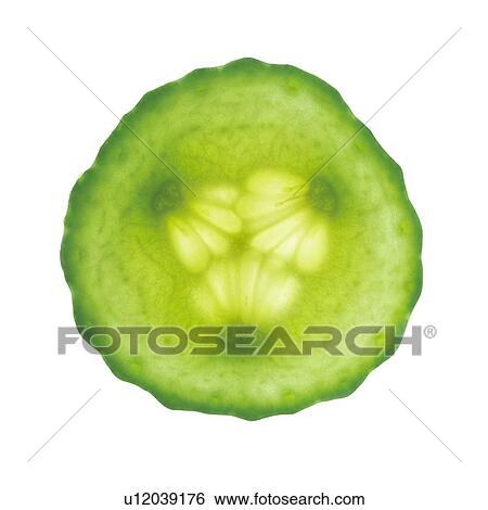 Stock Photograph - Cucumber slice. Fotosearch
