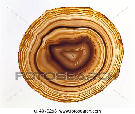 Stock Image - Cut agate. Fotosearch