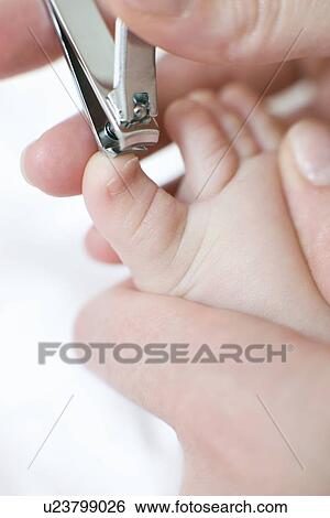 Cutting toenails View Large Photo Image Stock Photograph - Cutting toenails. Fotosearch