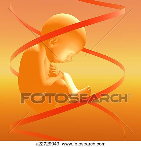 Stock Photo - Designer baby, artwork. Fotosearch