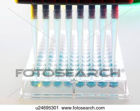 DNA analysis View Large Photo Image Stock Image - DNA analysis. Fotosearch