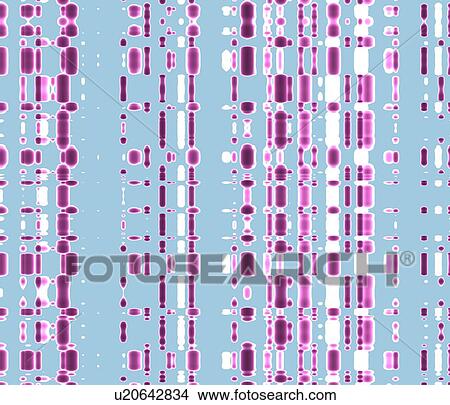 Picture - DNA autoradiogram, artwork. Fotosearch