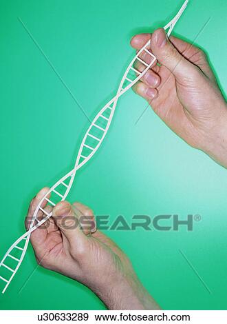 DNA helix View Large Photo Image Stock Photo - DNA helix. Fotosearch