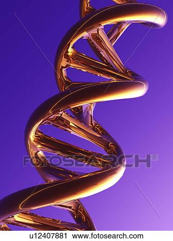 DNA molecule, artwork View Large Photo Image Stock Image - DNA molecule, artwork. Fotosearch