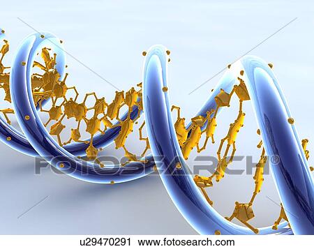 Stock Image - DNA molecule, artwork. Fotosearch