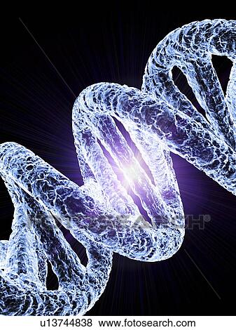 Stock Photo - DNA molecule, artwork. Fotosearch