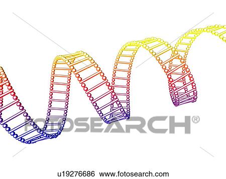 Stock Photograph - DNA molecule, artwork. Fotosearch