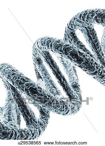 Stock Photography - DNA molecule, artwork. Fotosearch