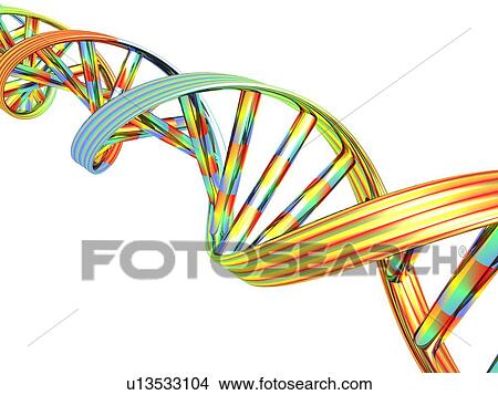 DNA molecule, computer artwork View Large Photo Image Picture - DNA molecule, computer artwork. Fotosearch