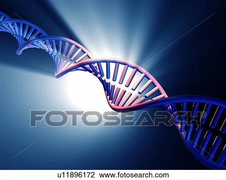 DNA molecule, computer artwork View Large Photo Image Stock Image - DNA molecule, computer artwork. Fotosearch