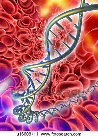 Stock Image - DNA molecule, computer artwork. Fotosearch