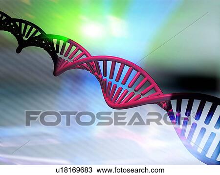 Stock Image - DNA molecule, computer artwork. Fotosearch