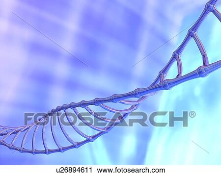 DNA molecule, computer artwork View Large Photo Image Stock Image - DNA molecule, computer artwork. Fotosearch