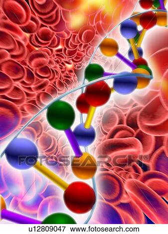 Stock Photo - DNA molecule, computer artwork. Fotosearch