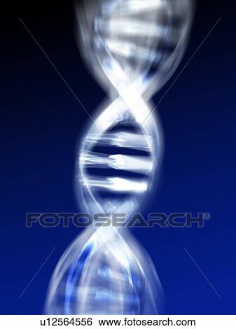 DNA molecule, computer artwork View Large Photo Image Stock Photograph - DNA molecule, computer artwork. Fotosearch