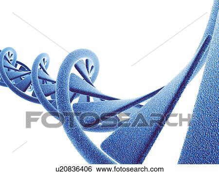 DNA molecule, computer artwork View Large Photo Image Stock Photograph - DNA molecule, computer artwork. Fotosearch