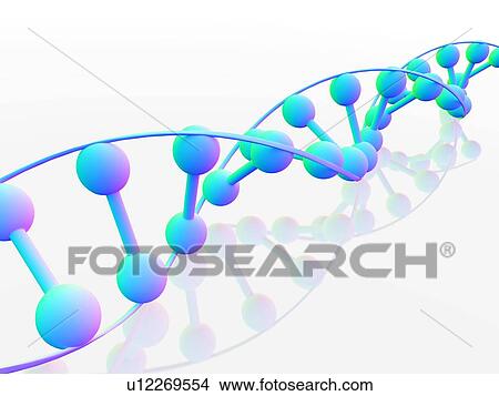 DNA molecule, conceptual artwork View Large Photo Image Picture - DNA molecule, conceptual artwork. Fotosearch