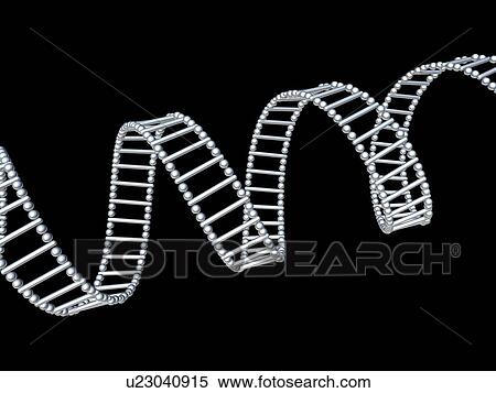 DNA molecule, conceptual artwork View Large Photo Image Stock Photography - DNA molecule, conceptual artwork. Fotosearch