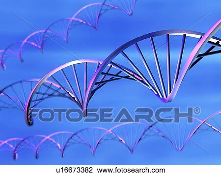DNA molecules, computer artwork View Large Photo Image Stock Image - DNA molecules, computer artwork. Fotosearch