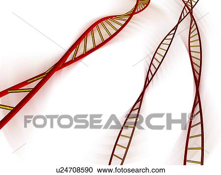 DNA molecules, computer artwork View Large Photo Image Stock Image - DNA molecules, computer artwork. Fotosearch