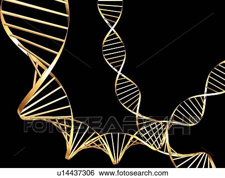 DNA molecules, computer artwork View Large Photo Image Stock Photograph - DNA molecules, computer artwork. Fotosearch