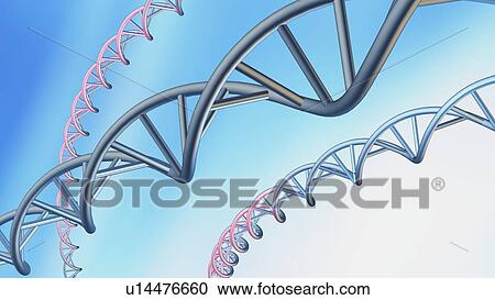 DNA molecules, conceptual artwork View Large Photo Image Stock Image - DNA molecules, conceptual artwork. Fotosearch