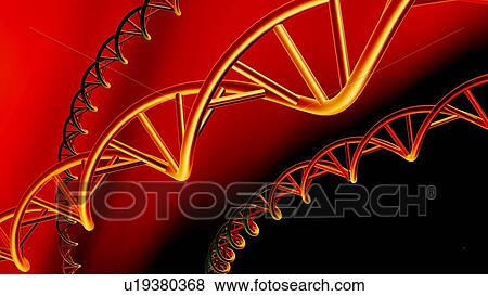 Stock Photo - DNA molecules, conceptual artwork. Fotosearch
