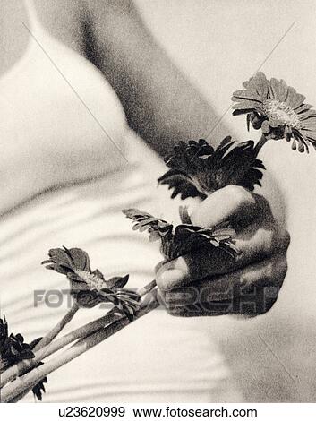 Flowers held by a woman View Large Photo Image Stock Photo - Flowers held by a woman. Fotosearch