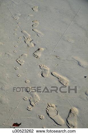 Footprints in sand View Large Photo Image Stock Image - Footprints in sand. Fotosearch