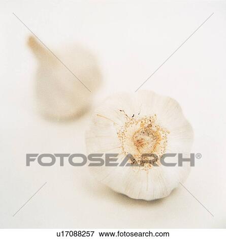 Stock Photo - Garlic. Fotosearch