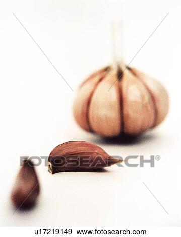 Garlic View Large Photo Image Stock Photo - Garlic. Fotosearch