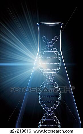 Stock Photograph - Genetic research. Fotosearch