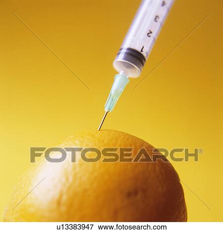Genetically modified orange View Large Photo Image Stock Photo - Genetically modified orange. Fotosearch