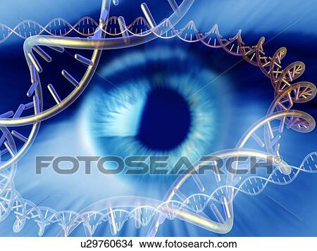 Genetics research, conceptual image View Large Photo Image Picture - Genetics research, conceptual image. Fotosearch