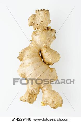 Stock Photograph - Ginger root. Fotosearch