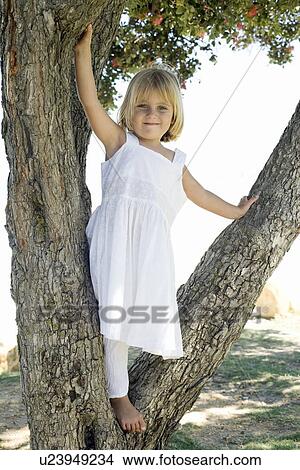 Girl sitting in a tree View Large Photo Image Picture - Girl sitting in a tree. Fotosearch