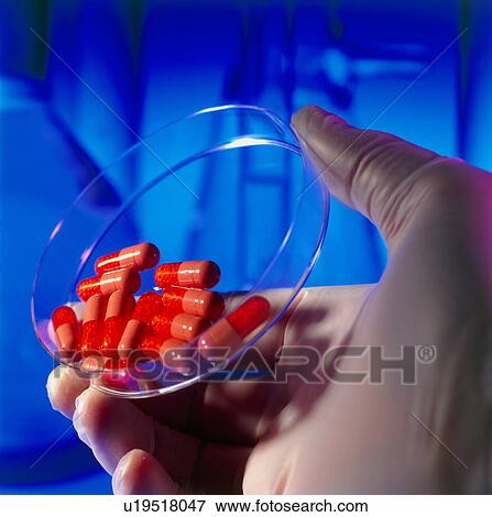 Gloved hand holding a dish of red drug capsules View Large Photo Image Stock Photo - Gloved hand holding a dish of red drug capsules. Fotosearch
