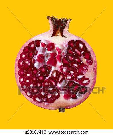 Stock Photo - Halved pomegranate. Fotosearch