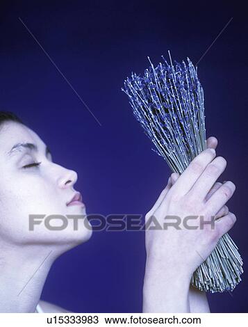 Stock Image - Herbal medicine. Fotosearch