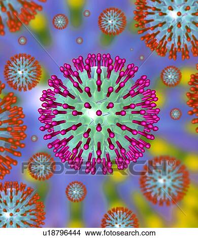 Picture - Herpes virus particles, artwork. Fotosearch