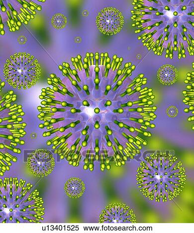 Stock Photography - Herpes virus particles, artwork. Fotosearch
