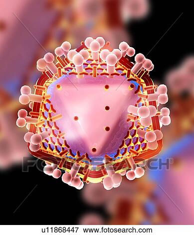 Stock Photo - HIV virus particle, artwork. Fotosearch